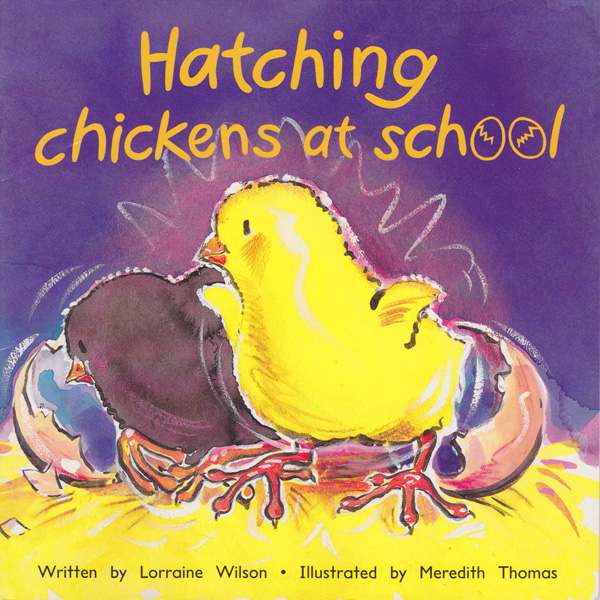 Hatching Chickens at School