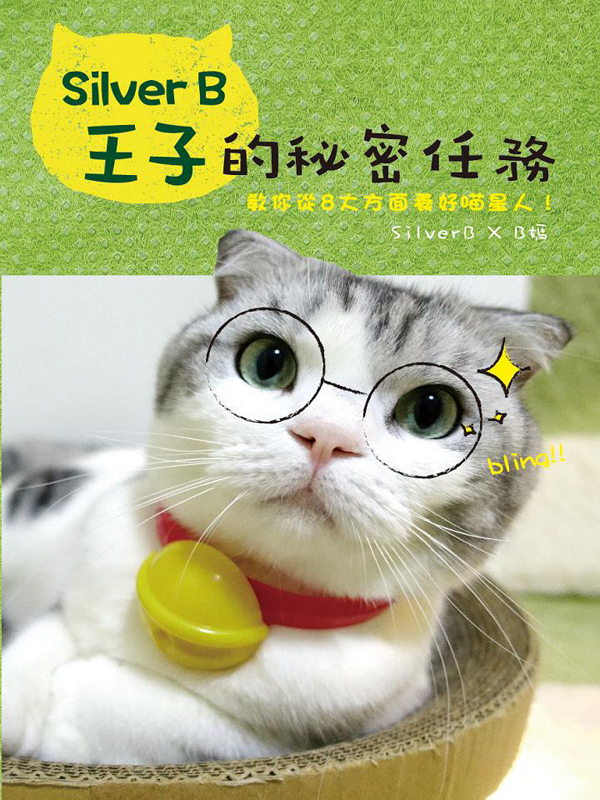Silver B王子的秘密任務