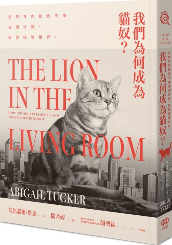 我們為何成為貓奴？這群食肉動物不僅佔領沙發，更要接管世界
