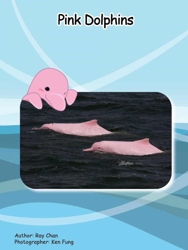 Unit 14 Week 2 - 14.2.1 Pink Dolphins