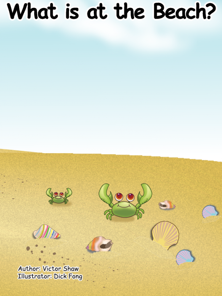 Unit 8 Week 4 - 8.4.2 What is at the Beach?