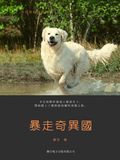 辛巴奇幻之旅1暴走奇異國