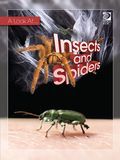 Insects and Spiders