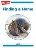 Finding a Home