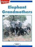 Elephant Grandmothers