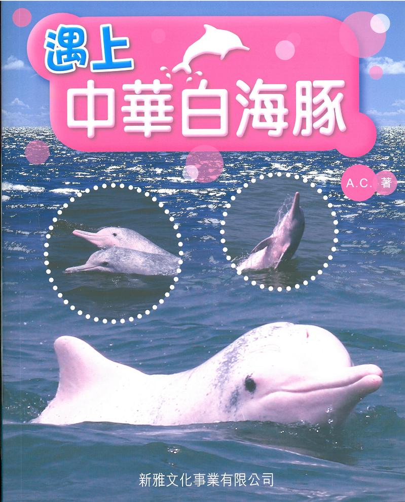 遇上中華白海豚