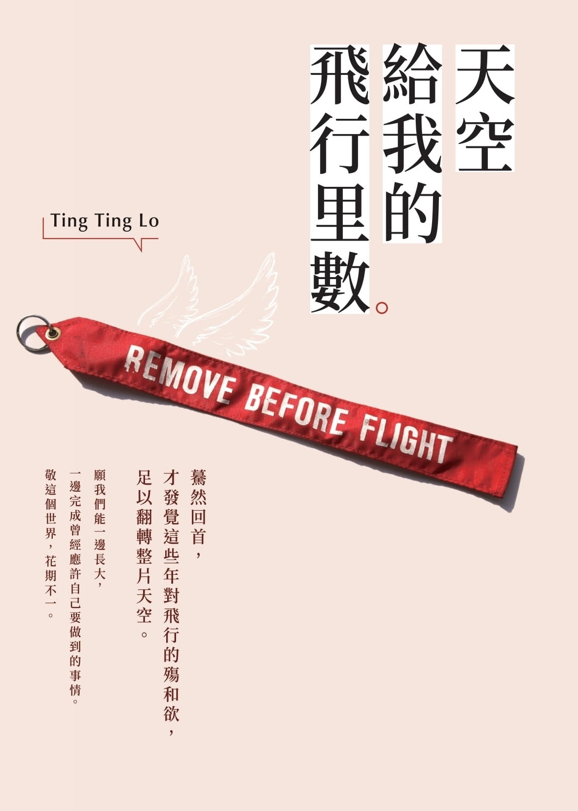 天空給我的飛行里數