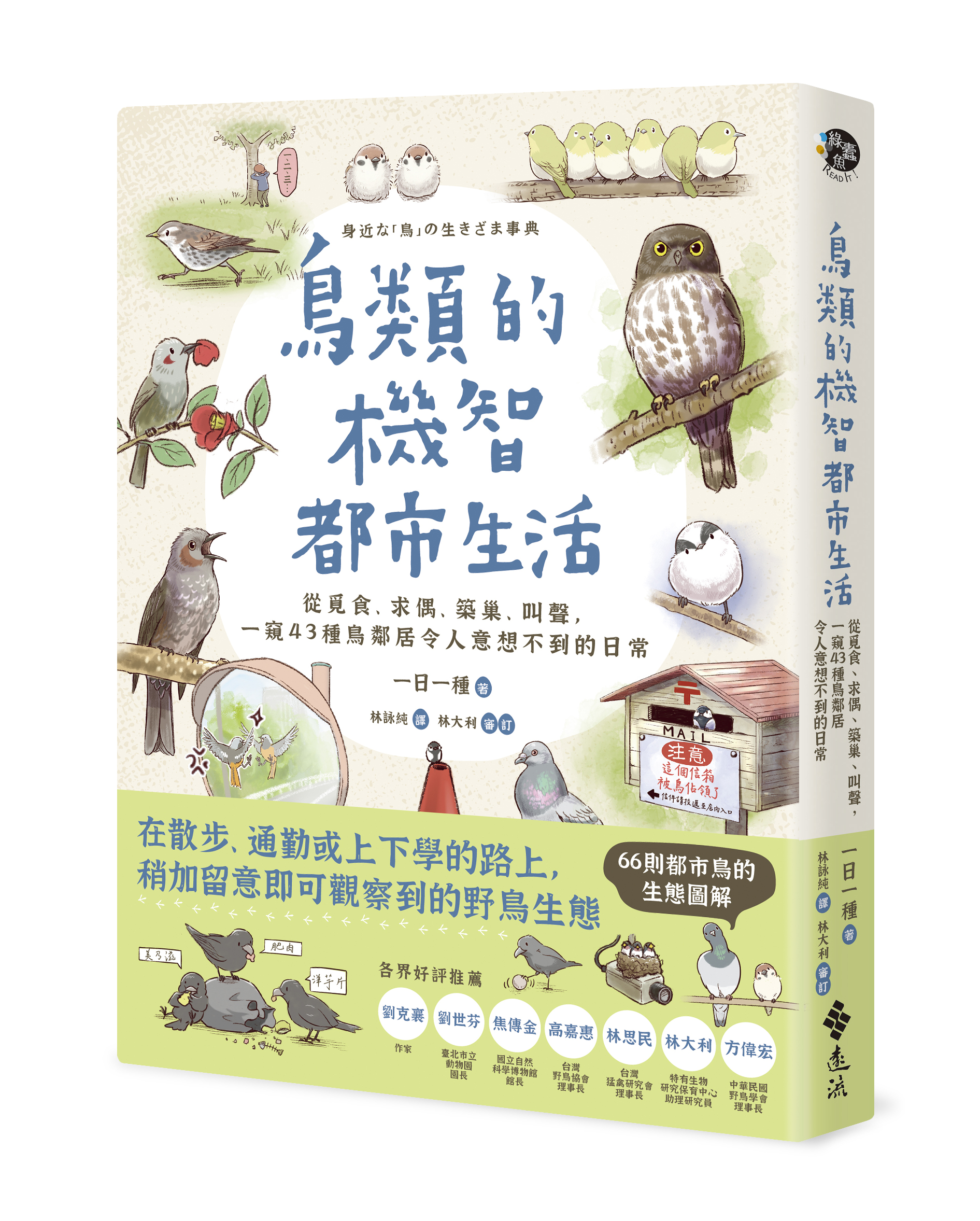 鳥類的機智都市生活：從覓食、求偶、築巢、叫聲，一窺 43 種鳥鄰居令人意想不到的日常