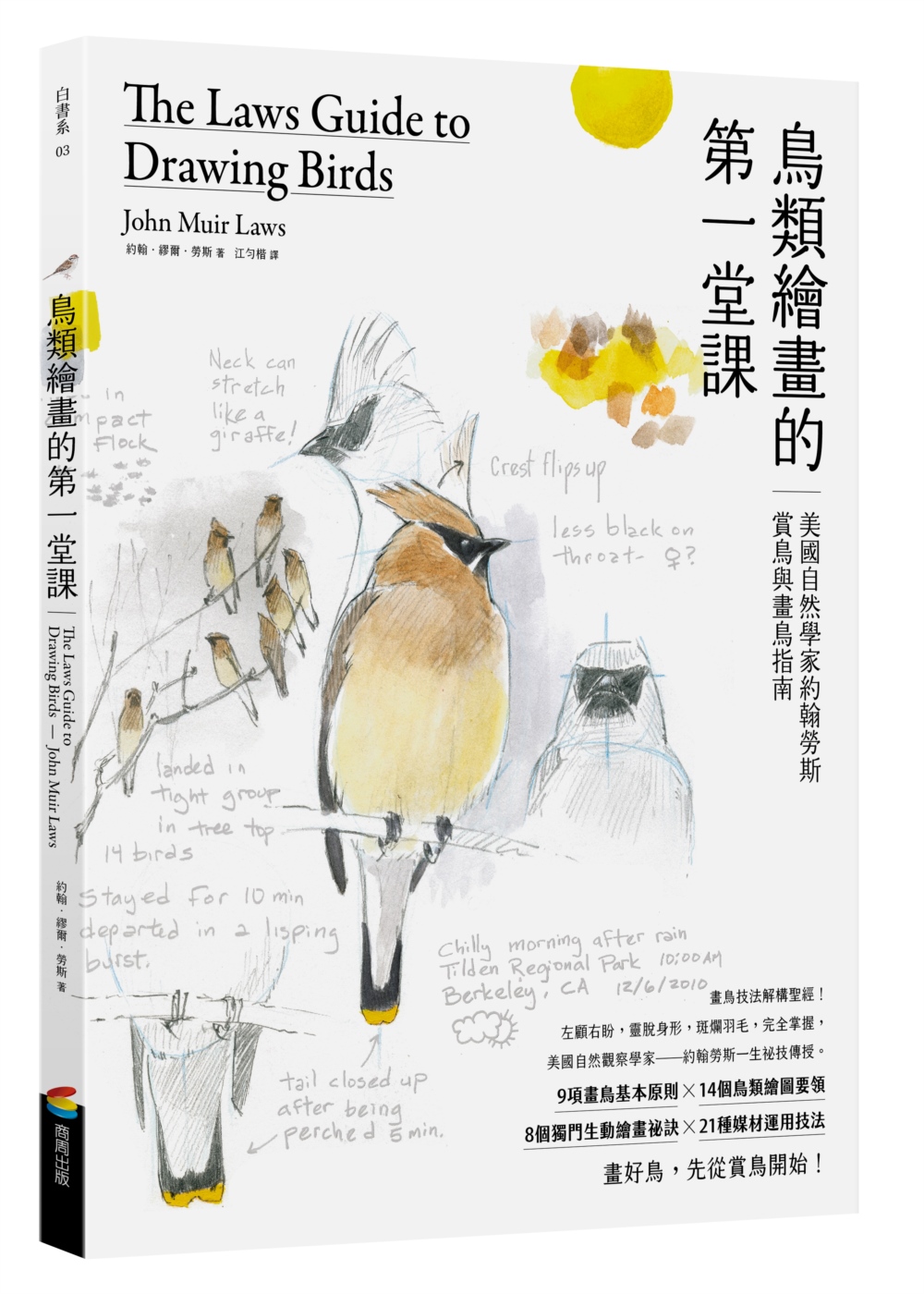 鳥類繪畫的第一堂課：美國自然學家約翰勞斯賞鳥與畫鳥指南 