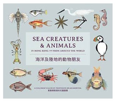 海洋及陸地的動物朋友