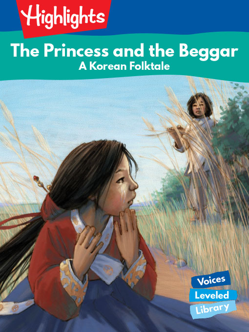 Day and Night in the Rain Forest