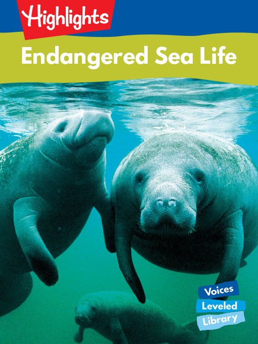 Endangered Sea Life