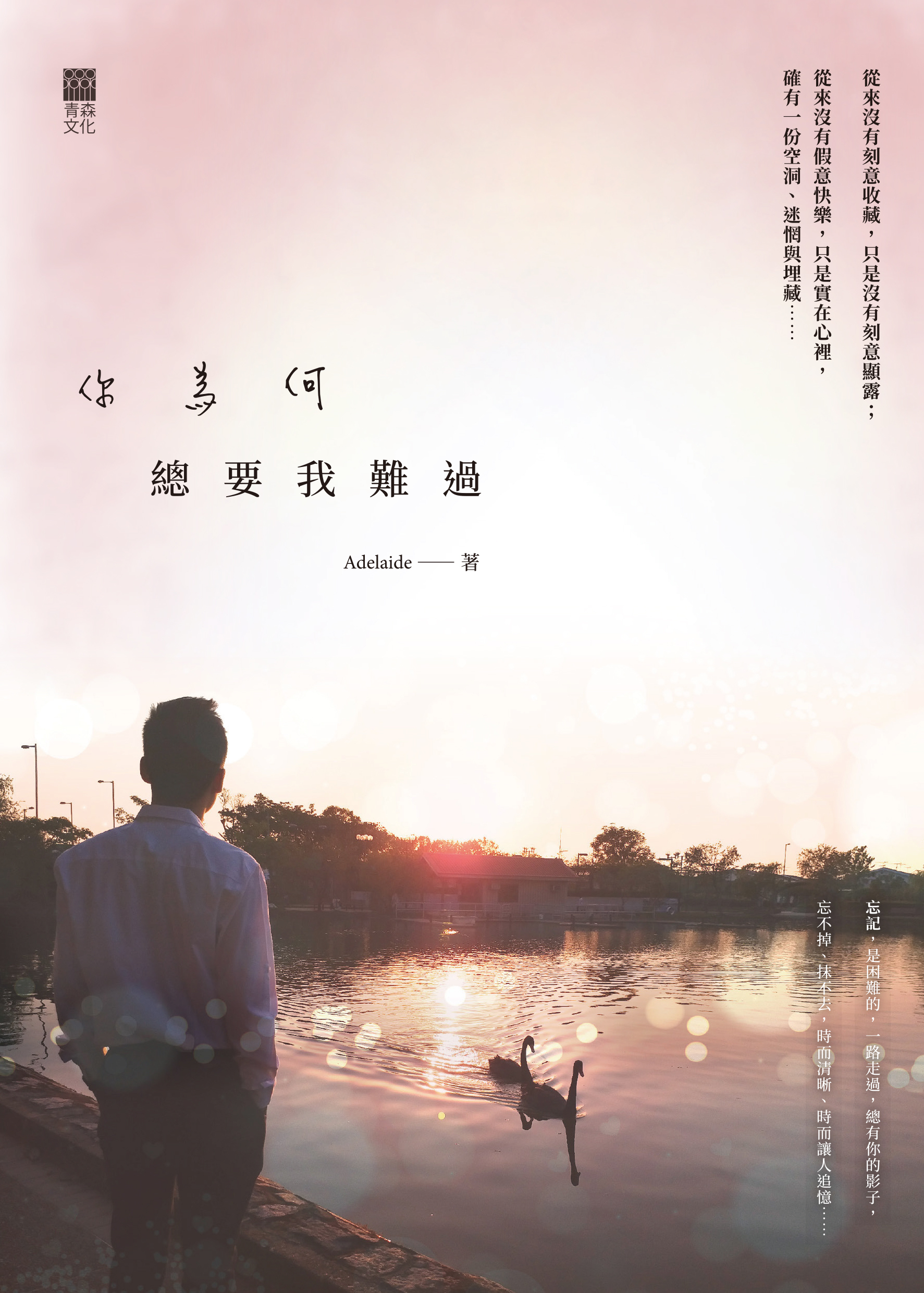 你為何總要我難過