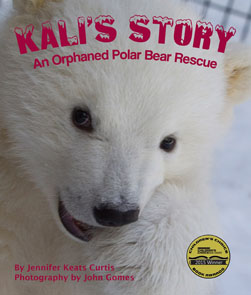Kali's Story: An Orphaned Polar Bear Rescue