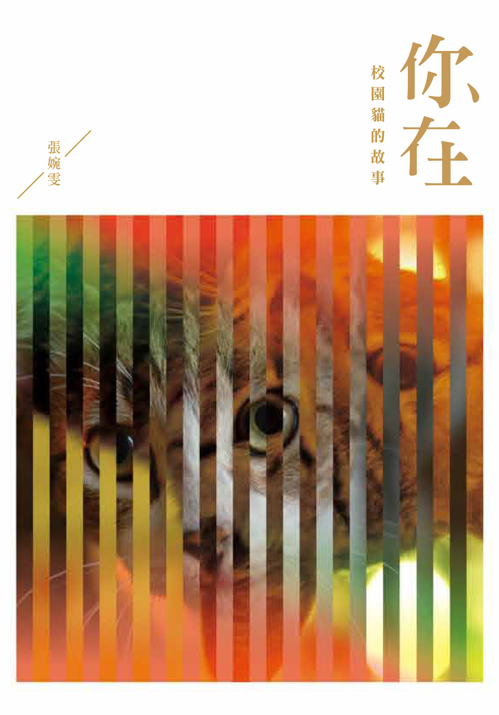 你在－－校園貓的故事