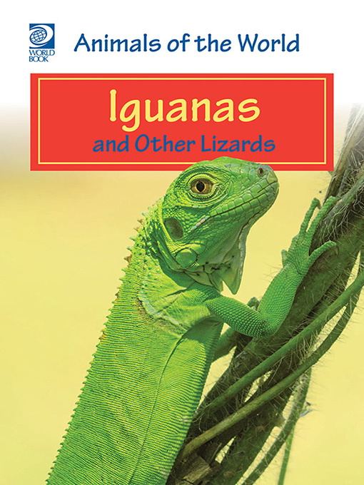 Iguanas and Other Lizards