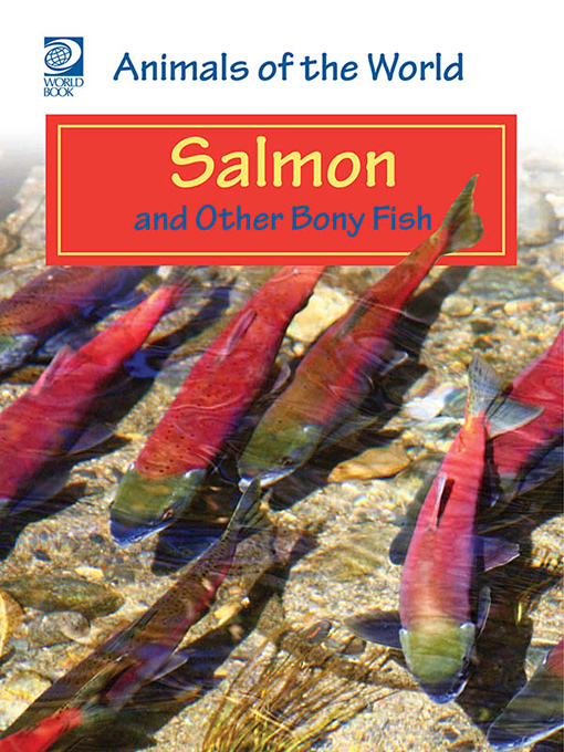 Salmon and Other Bony Fish