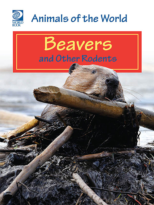 Beavers and Other Rodents