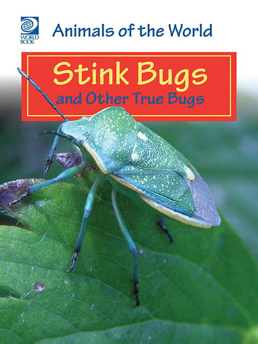 Stink Bugs and Other True Bugs