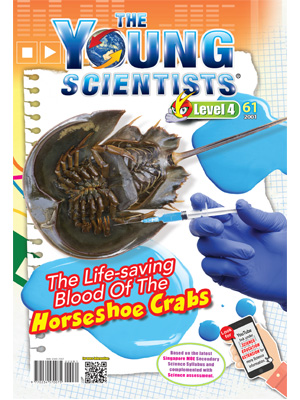The Young Scientists Level 4-61 The Life-saving Blood Of The Horseshoe Crabs