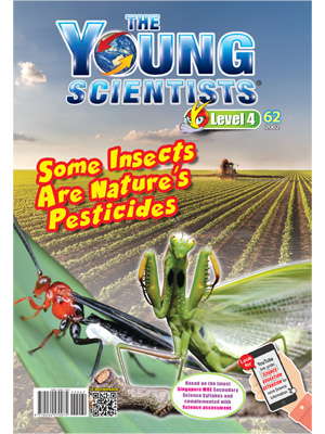 The Young Scientists Level 4-62 Some Insect Are Nature's Pesticides