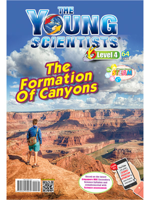 The Young Scientists Level 4-64 The Formation Of Canyons