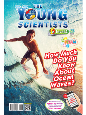 The Young Scientists Level 4-65 How Much Do You Know About Ocean Waves?