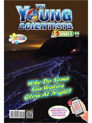The Young Scientists Level 4-66 Why Do Some Sea Water Glow At Night?