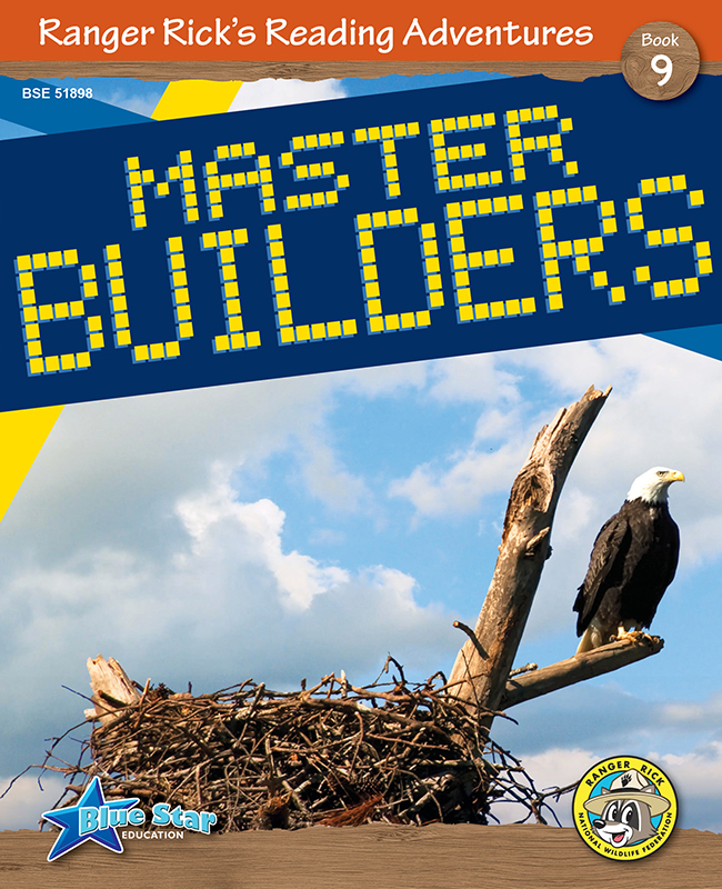 Master Builders
