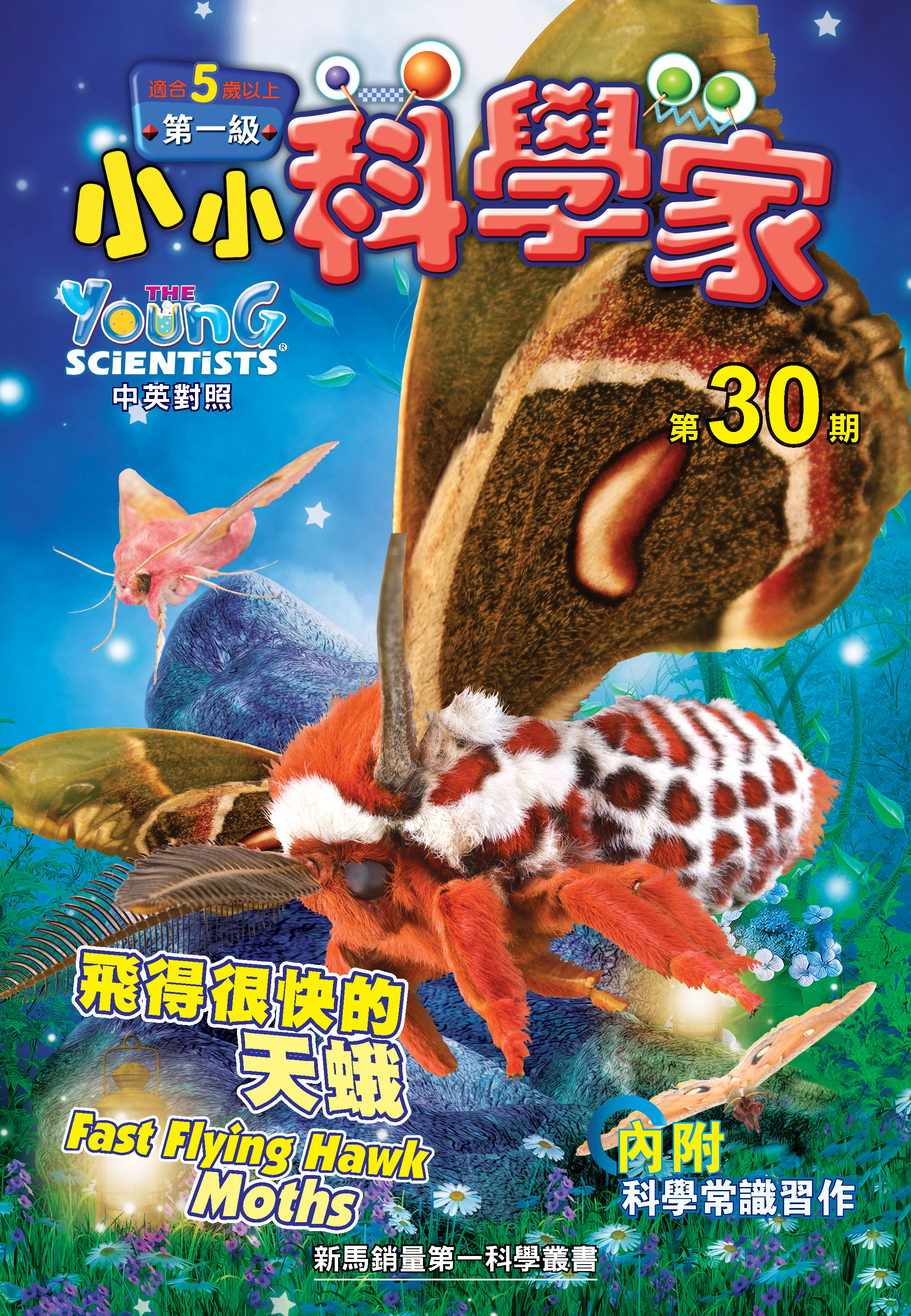 小小科學家（第一级）#30 飛得很快的天蛾 Fast Flying Hawk Moths