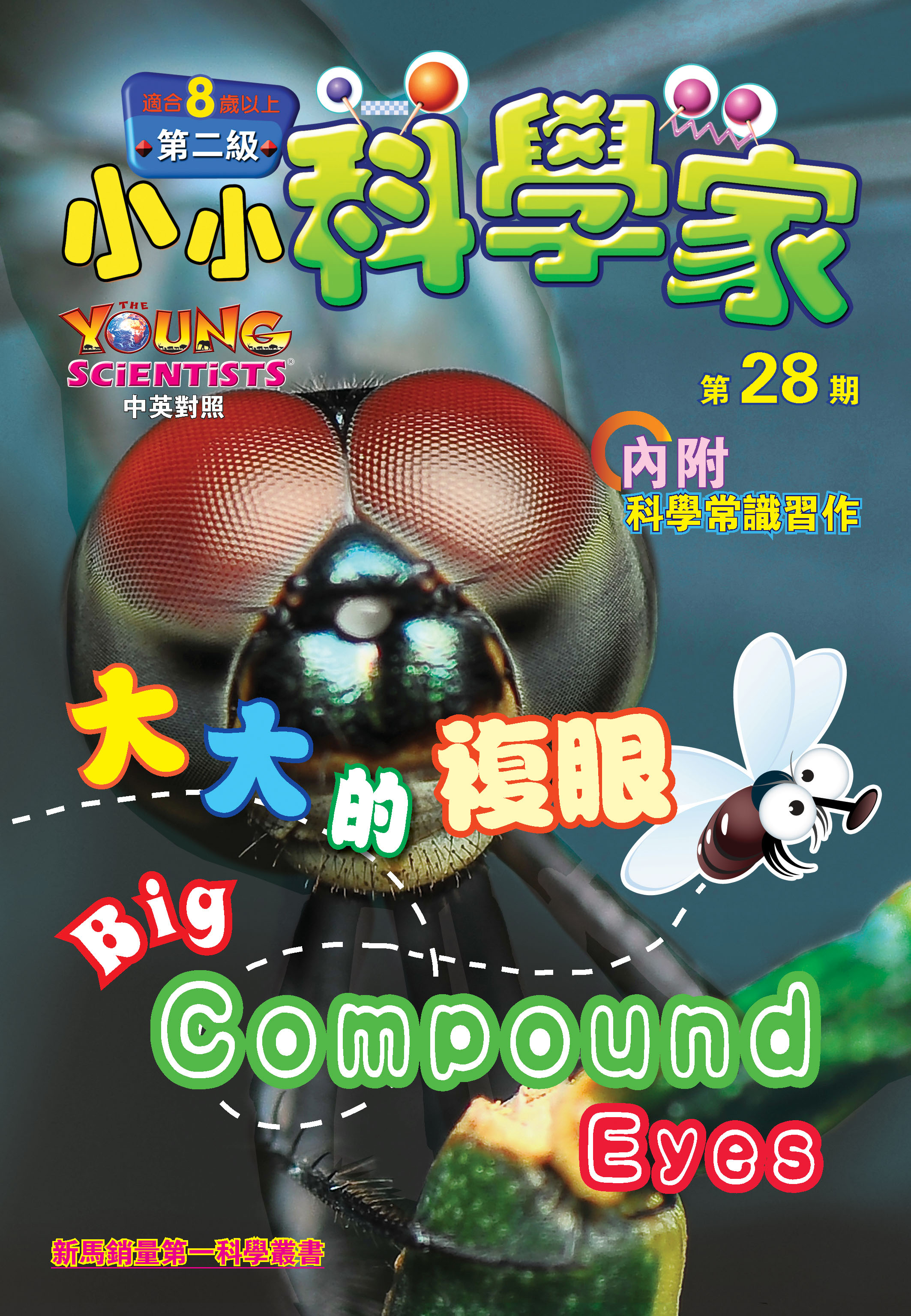 小小科學家（第二级）#28 大大的複眼 Big Compound Eyes