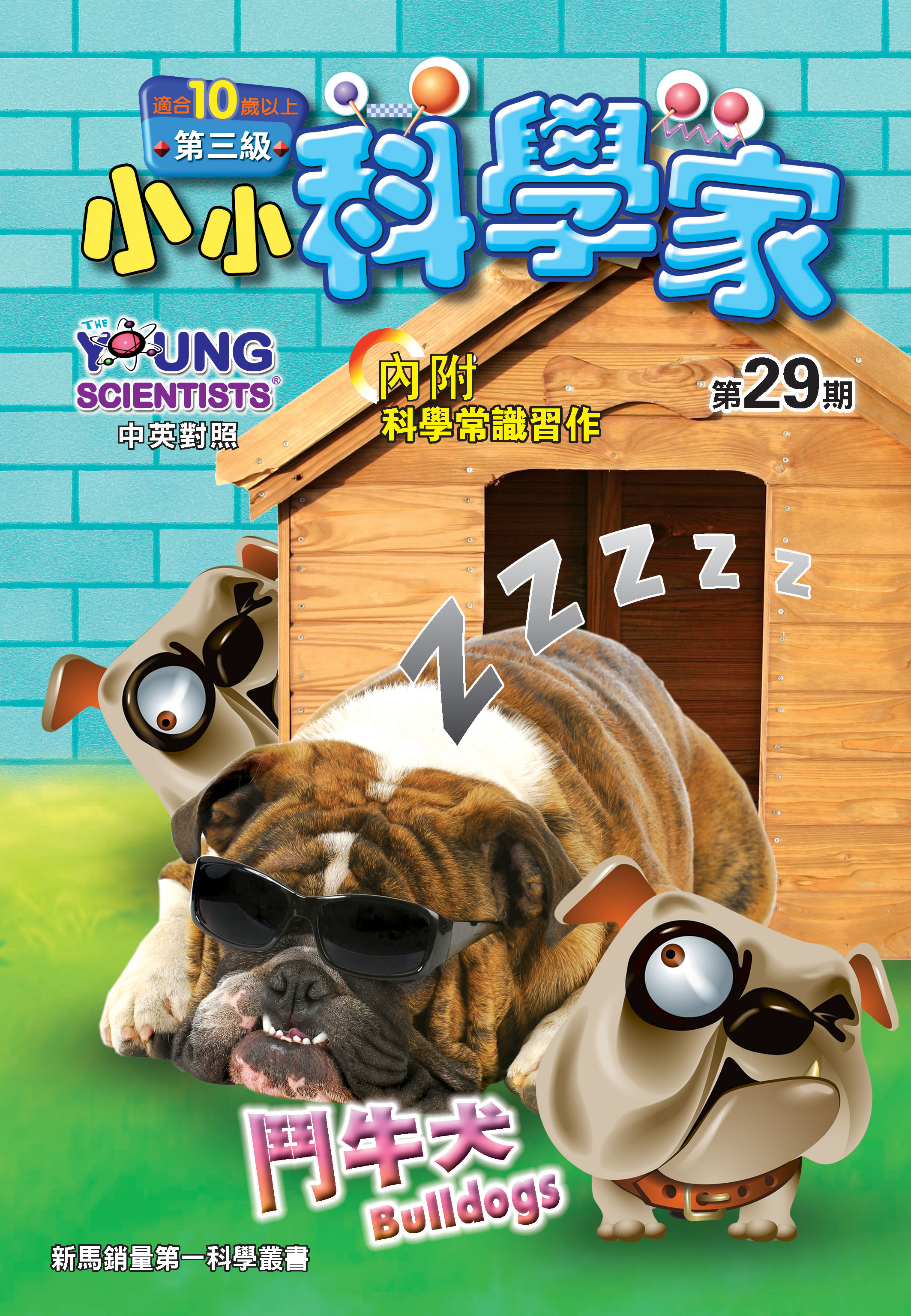 小小科學家（第三级）#29 鬥牛犬 Bulldogs