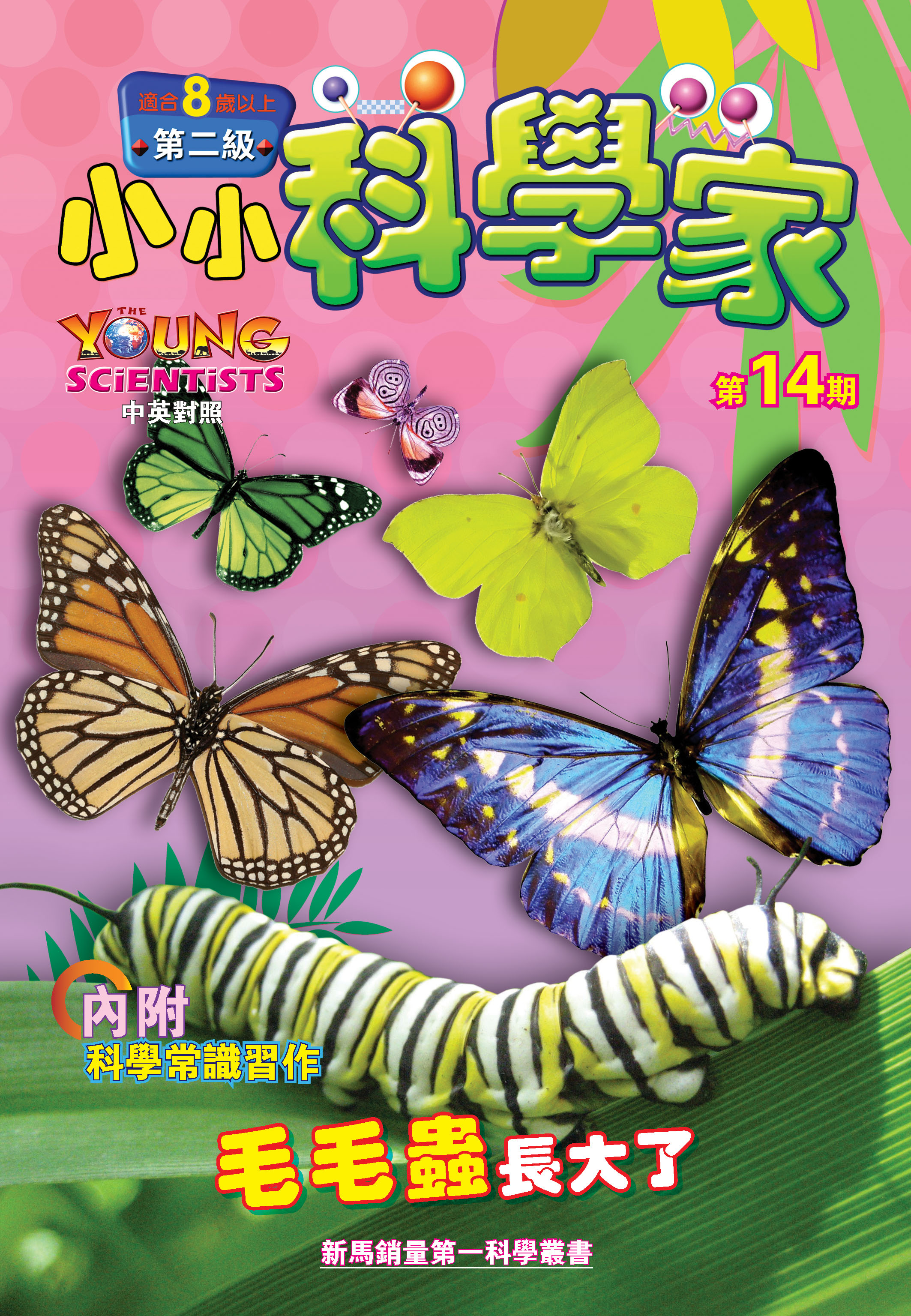 小小科學家（第二级）#14 毛毛蟲長大了 From Caterpillar to Butterfly