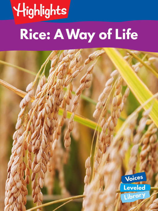 Rice: A Way of Life