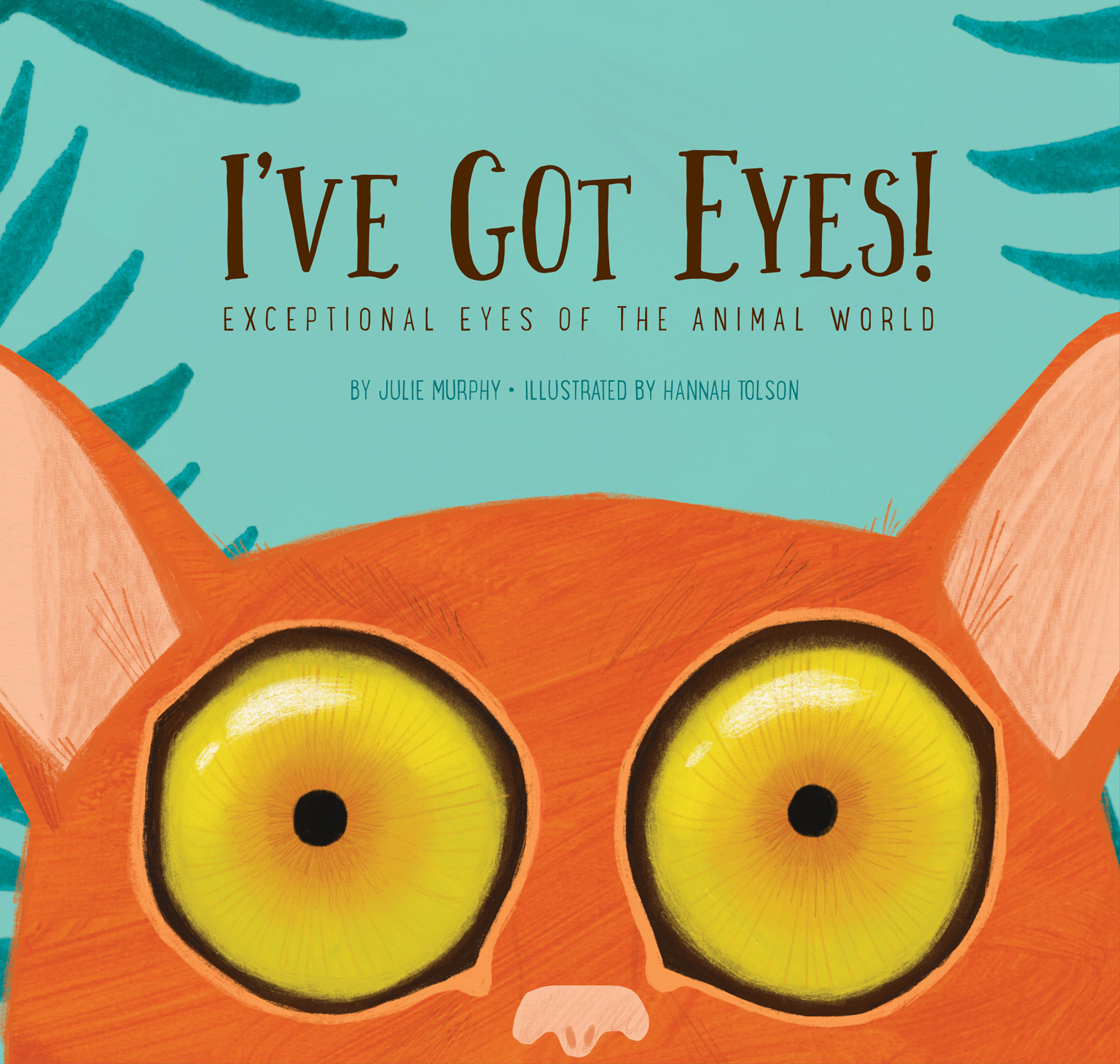 I've Got Eyes!: