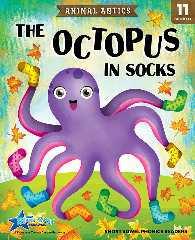 The Octopus in Socks