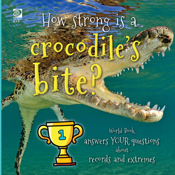 How Strong is a Crocodile's Bite?