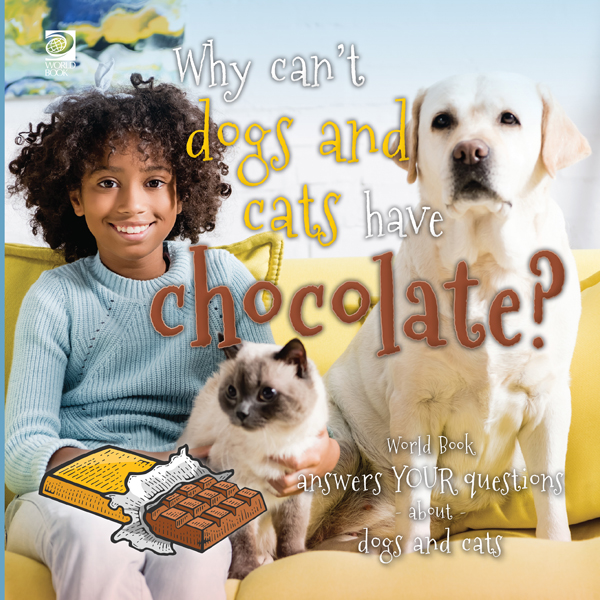 Why Can't Dogs and Cats Have Chocolate?