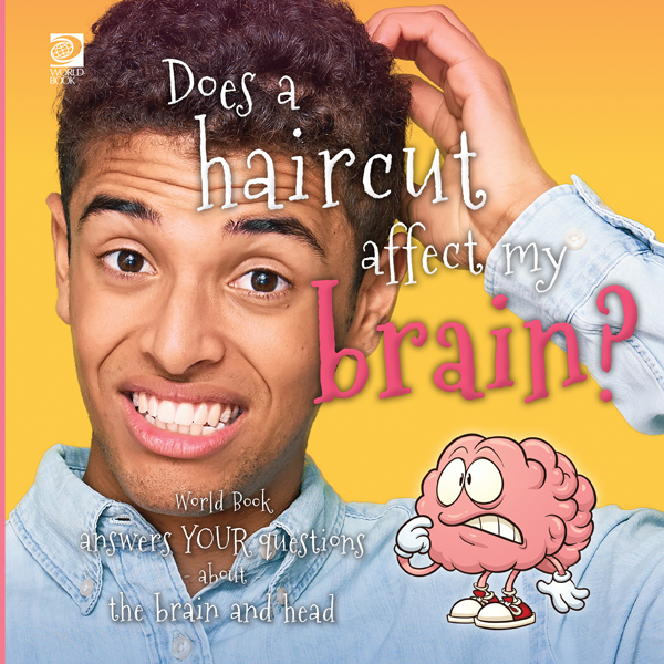 Does a Haircut Affect My Brain?