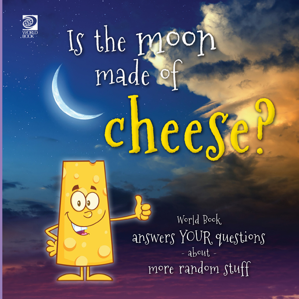 Is The Moon Made of Cheese?