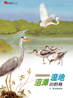 溼地‧沼澤的野鳥