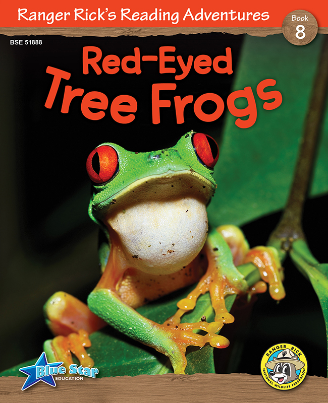 Red-Eyed Tree Frogs