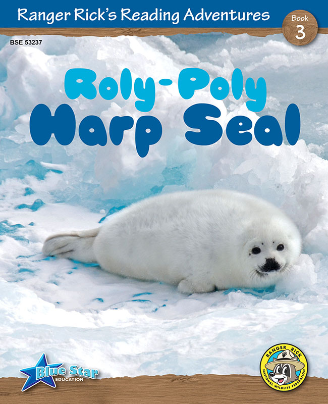 Roly-Poly Harp Seal