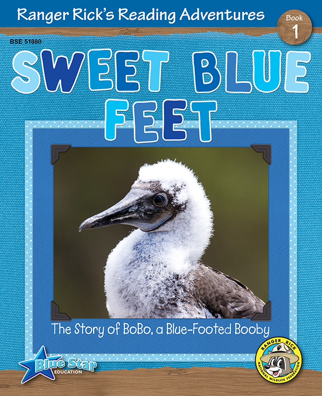 Sweet Blue Feet