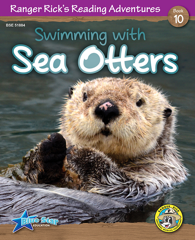 Swimming with Sea Otters