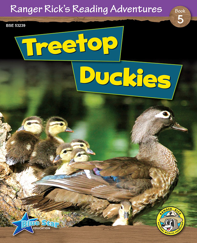Treetop Duckies