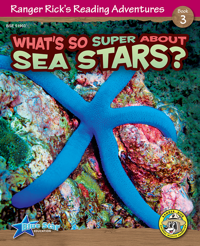 What's So Super About Sea Stars?
