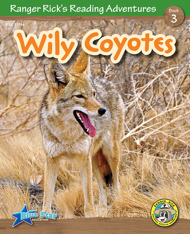 Wily Coyotes