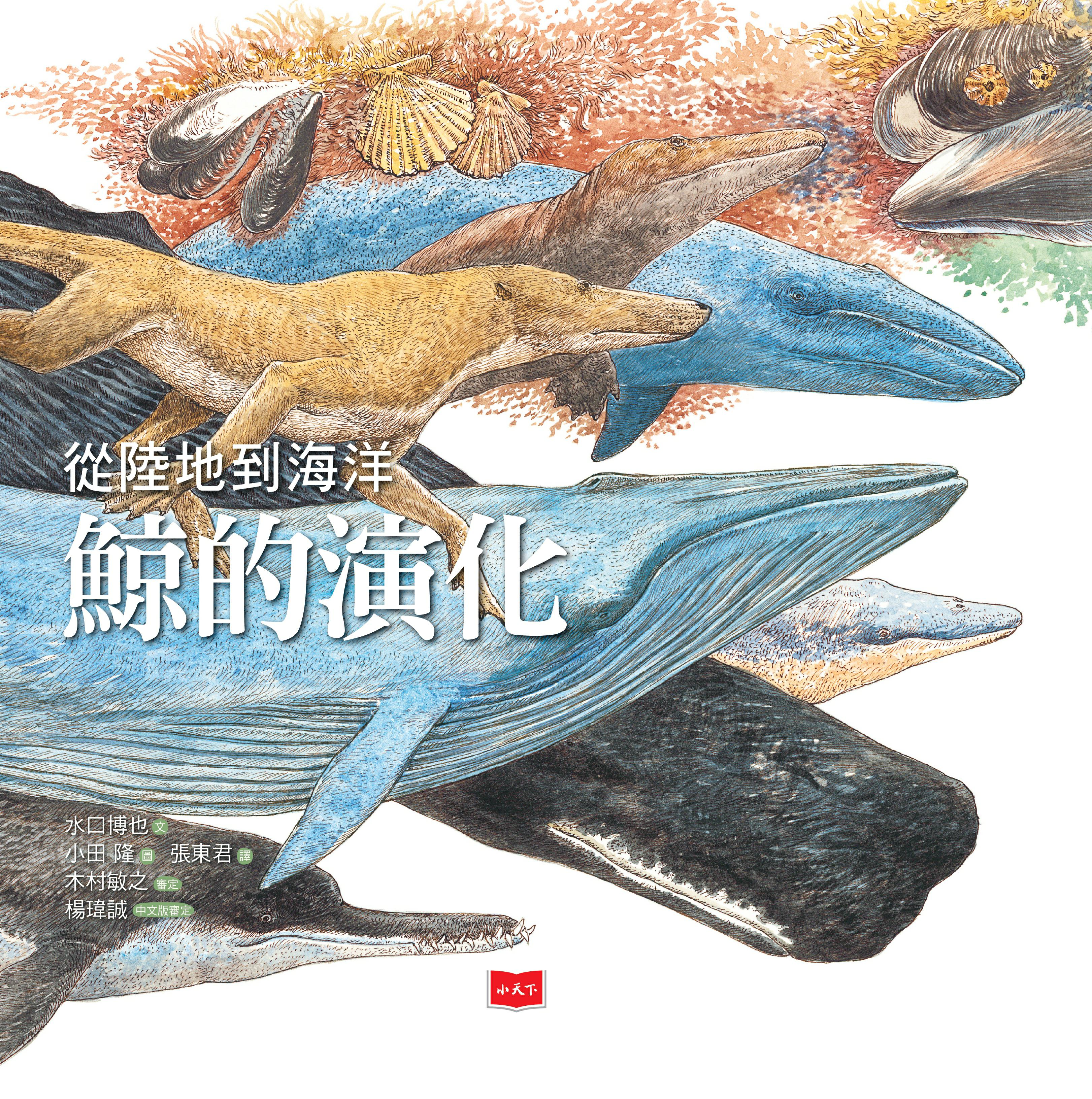 從陸地到海洋  鯨的演化