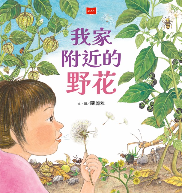 我家附近的野花（新版）